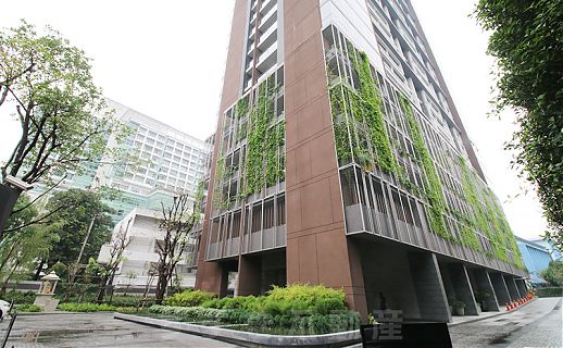 The Lofts Ekkamai (Owner No.87346)