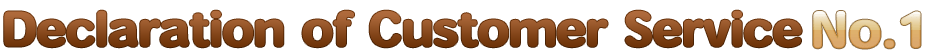 Declaration of Customer Service No.1