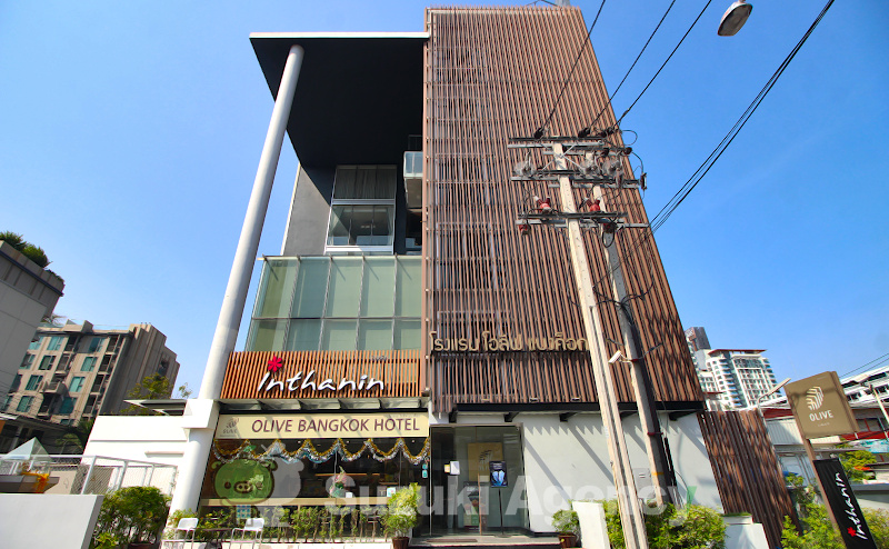 Olive Residence