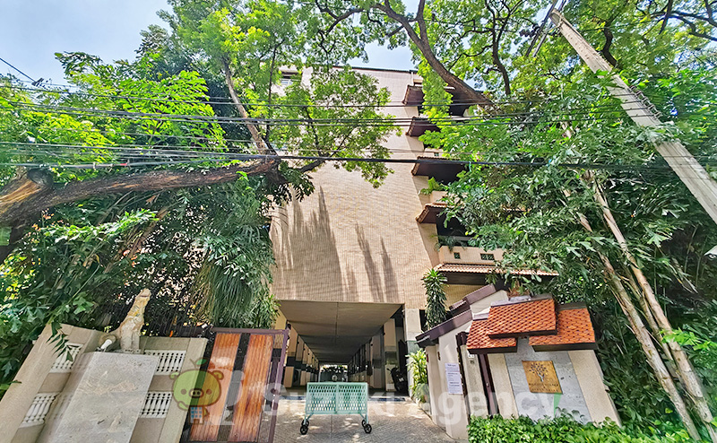 Raintree Village